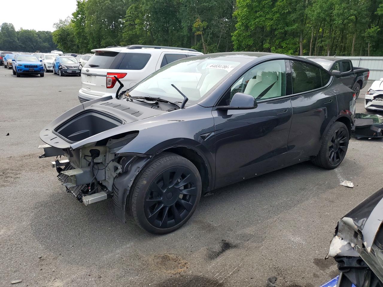 2025 TESLA MODEL Y