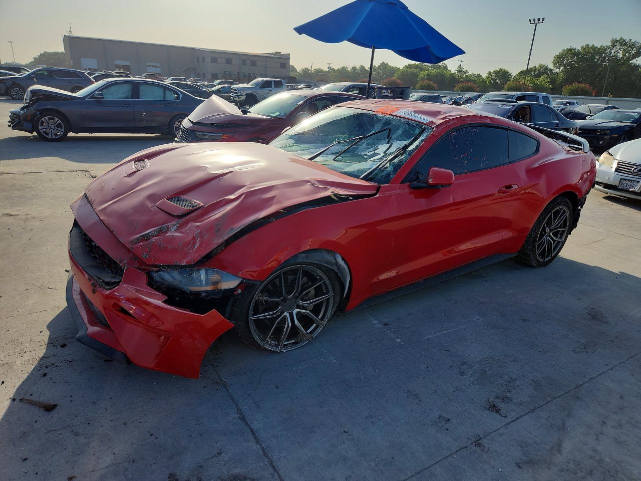 2019 FORD MUSTANG