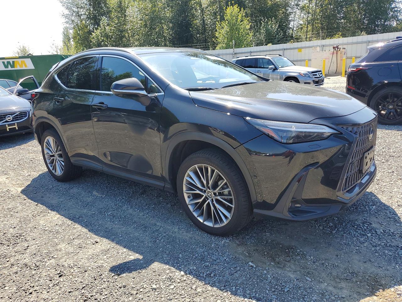 2022 LEXUS NX 350H — снимка 4