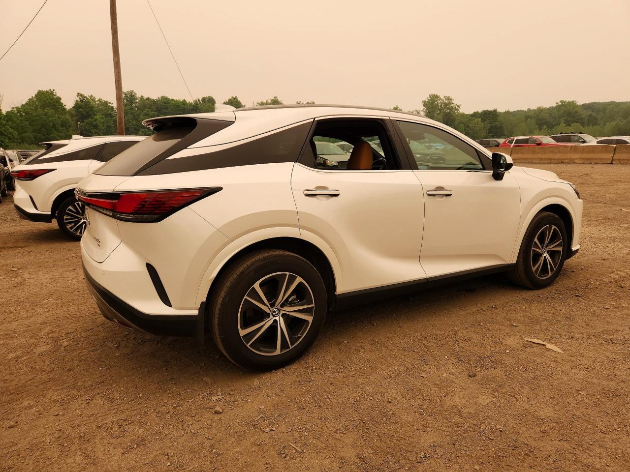 2024 LEXUS RX 350 PREMIUM — снимка 3