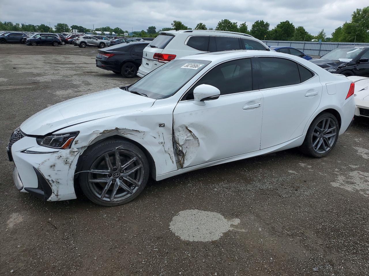 2019 LEXUS IS 350
