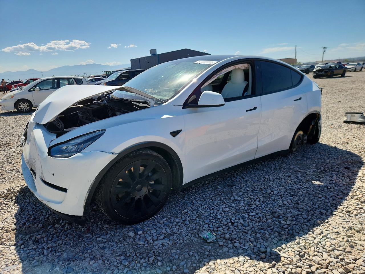 2021 TESLA MODEL Y