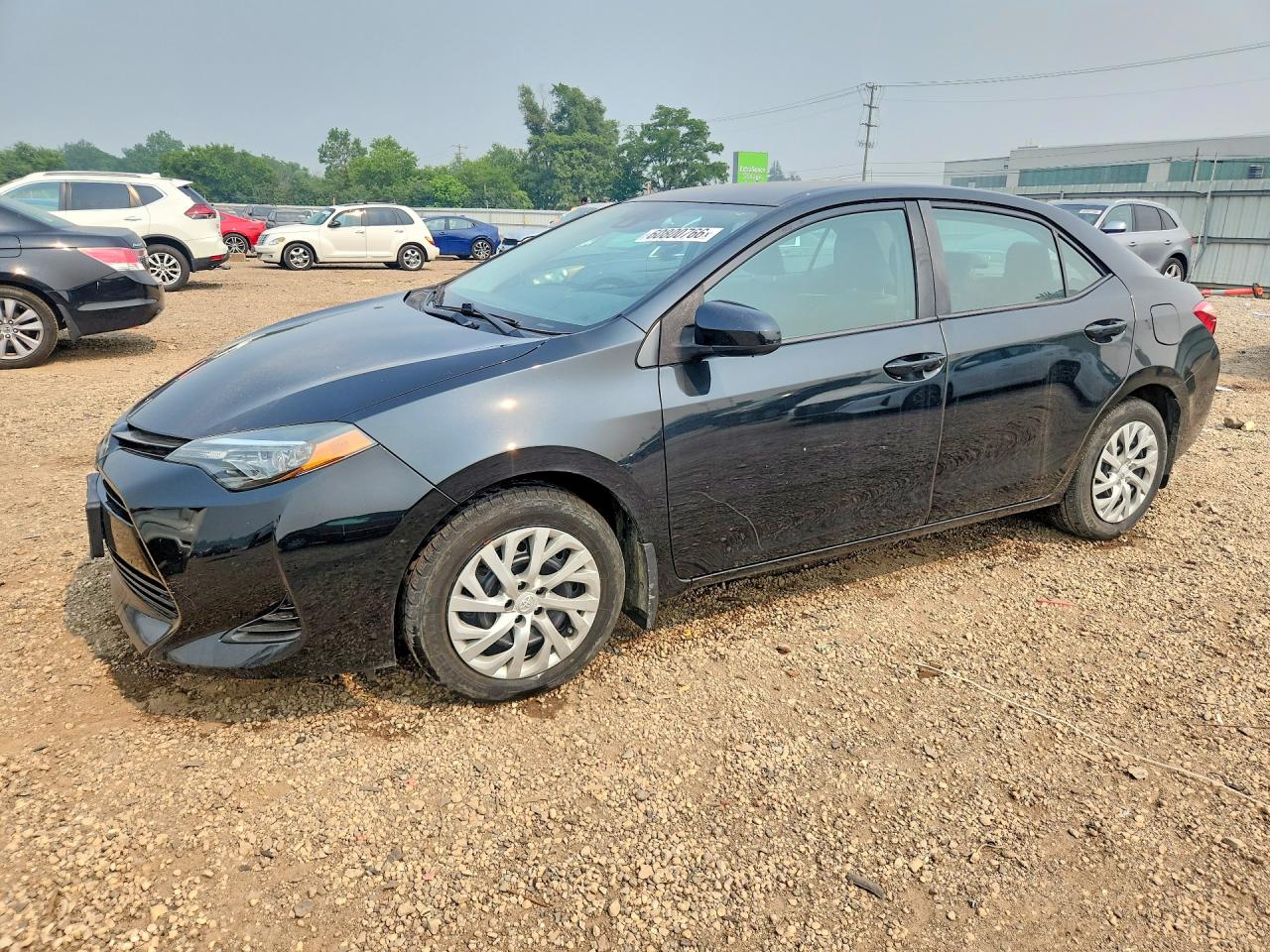 2019 TOYOTA COROLLA LE