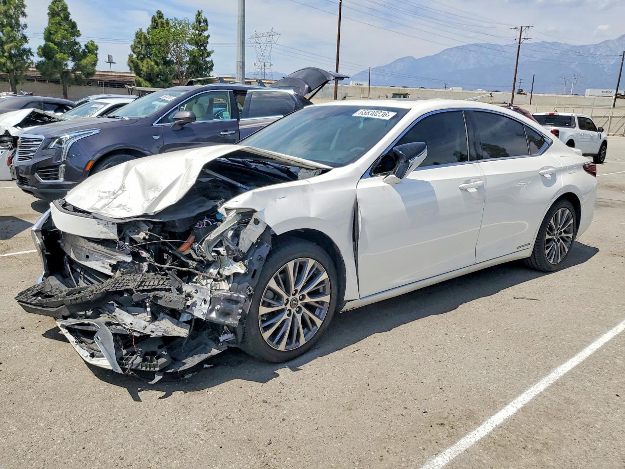 2019 LEXUS ES 300H