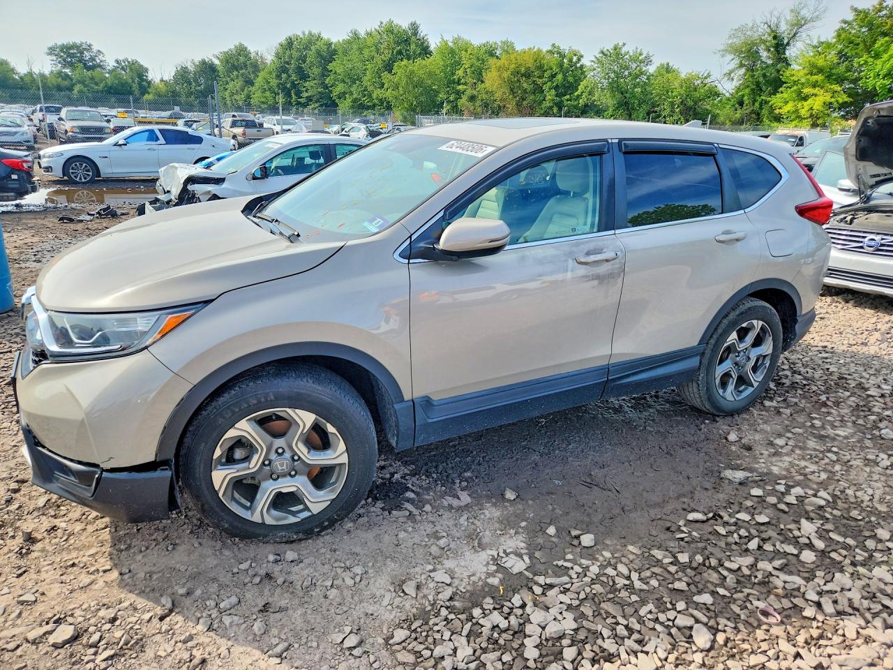 2019 HONDA CR-V EX