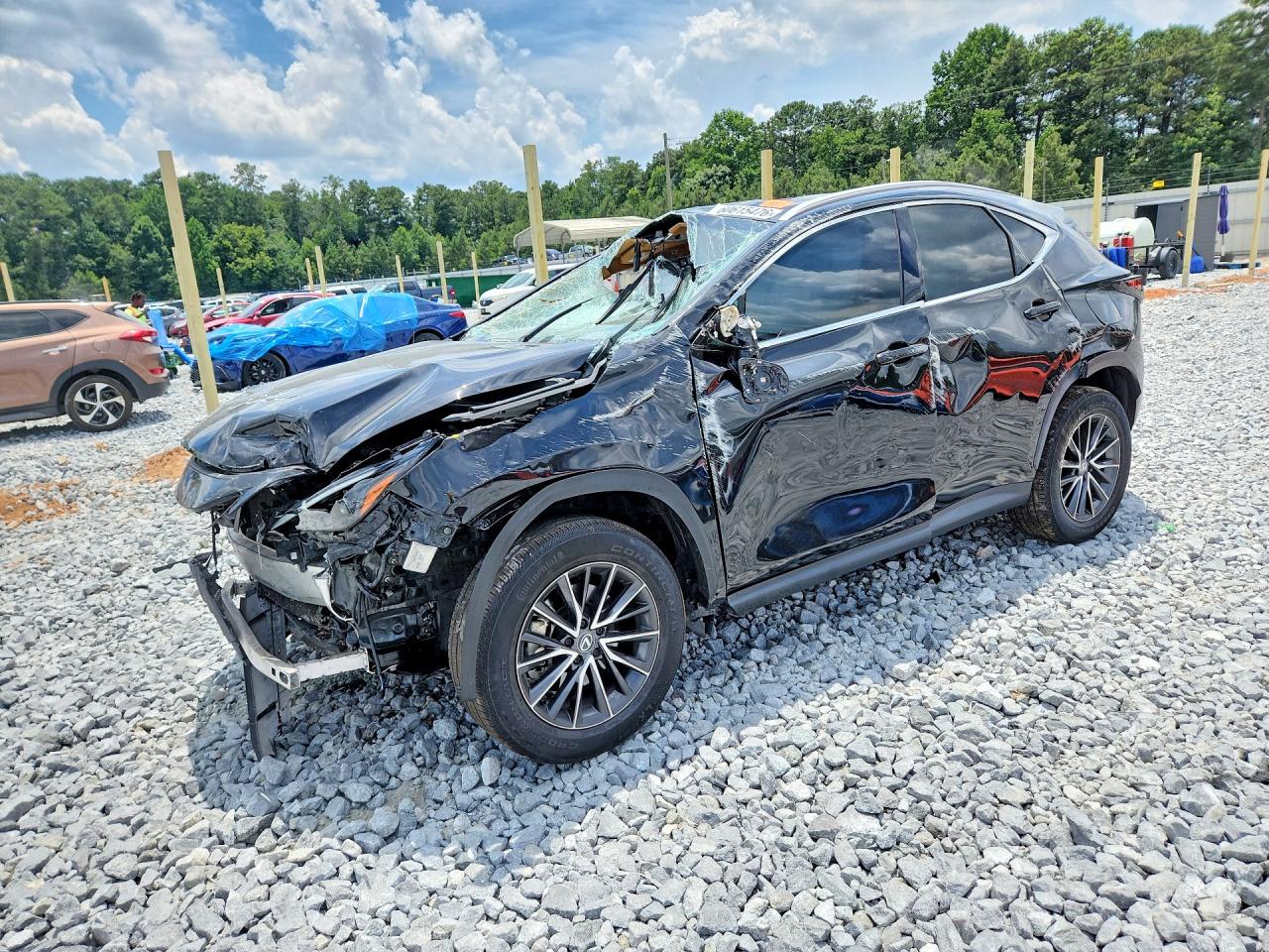 2024 LEXUS NX 250 PREMIUM