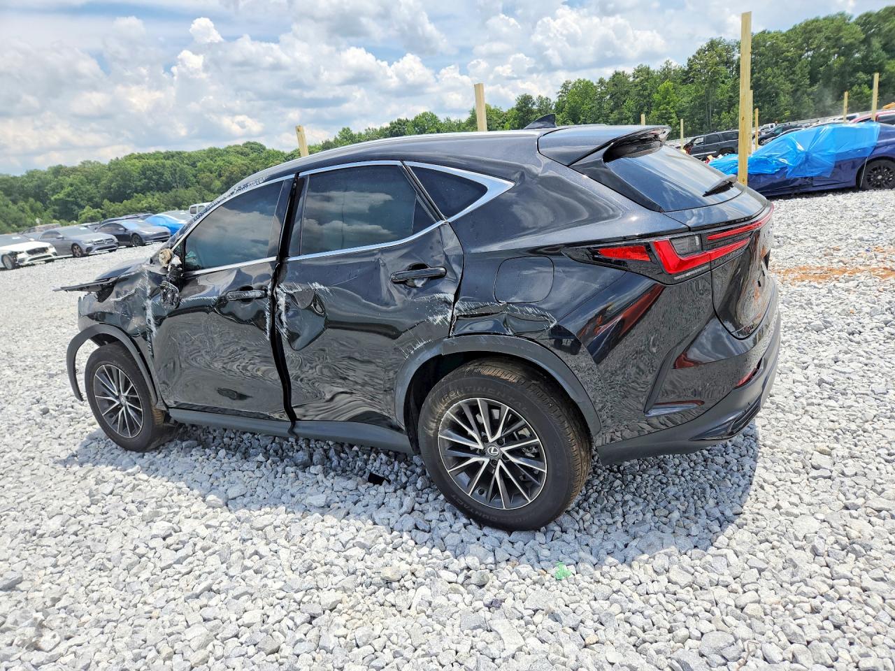2024 LEXUS NX 250 PREMIUM — снимка 2