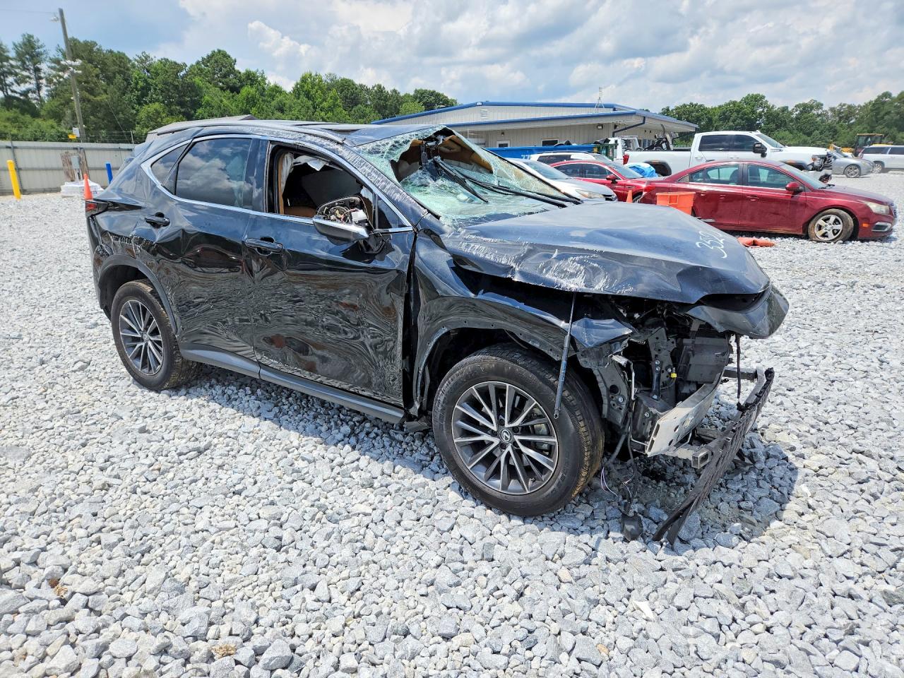 2024 LEXUS NX 250 PREMIUM — снимка 4