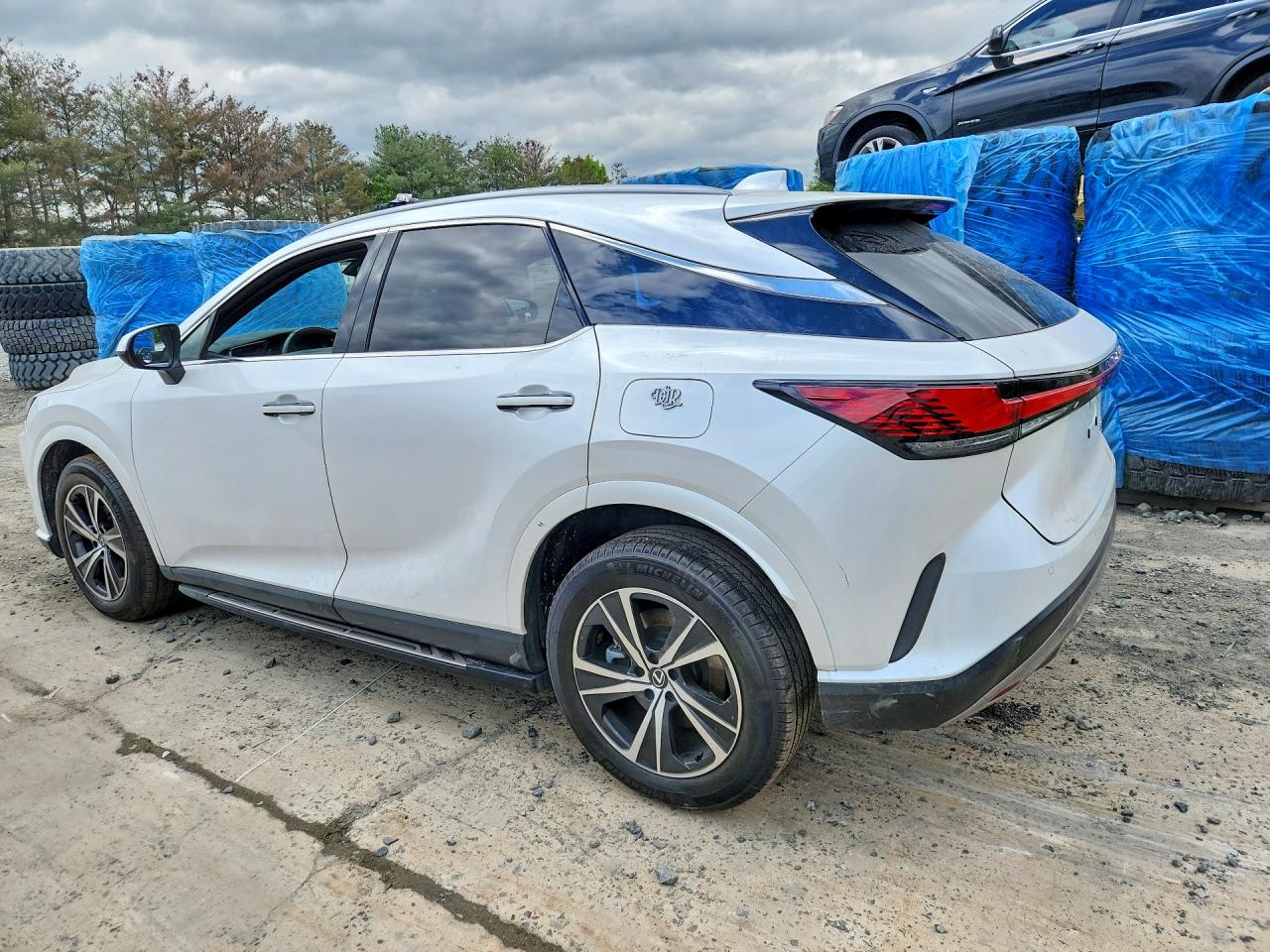 2024 LEXUS RX 350 PREMIUM — снимка 2