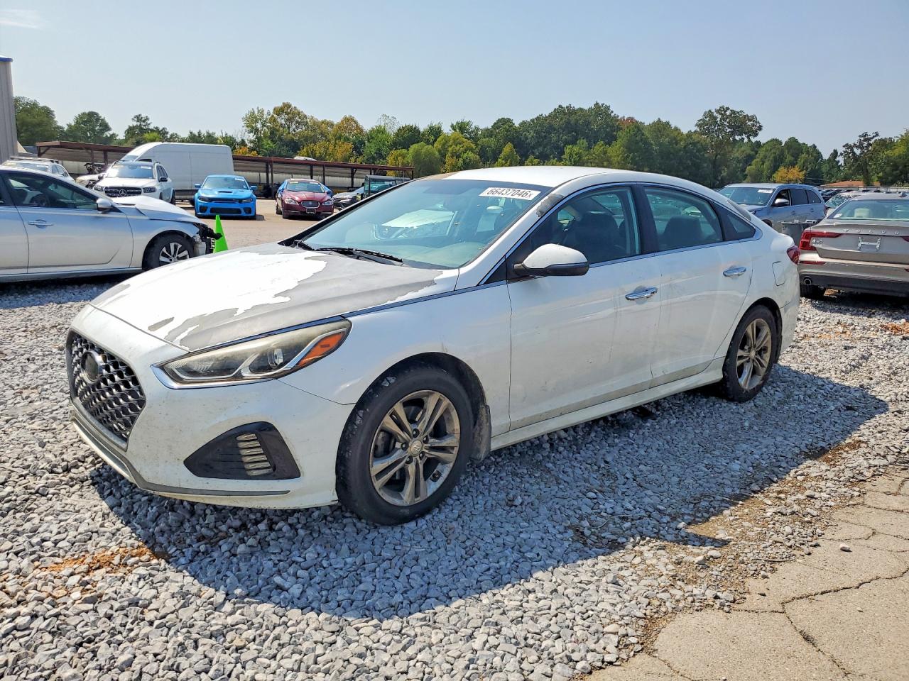 2019 HYUNDAI SONATA SEL