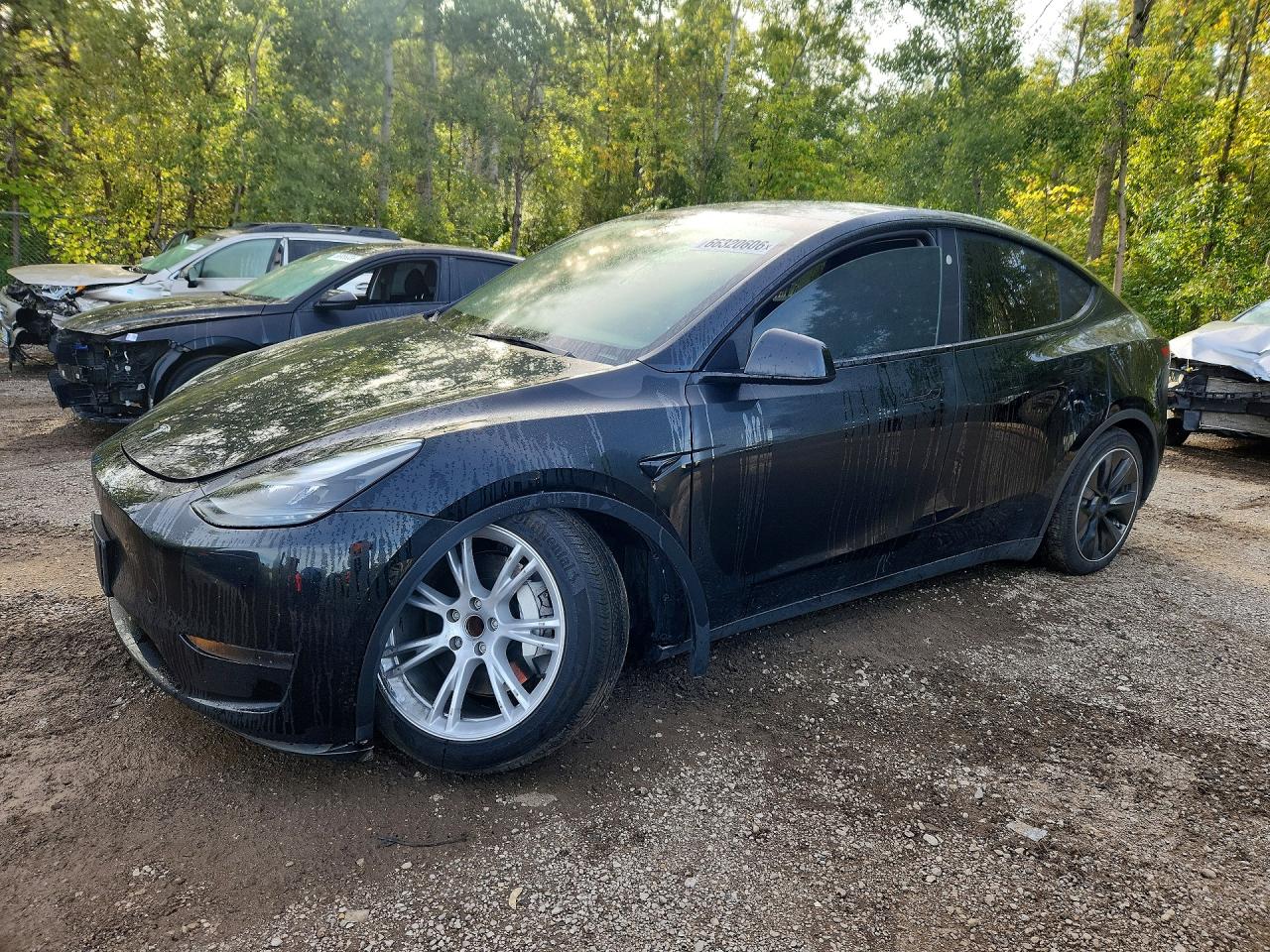 2024 TESLA MODEL Y