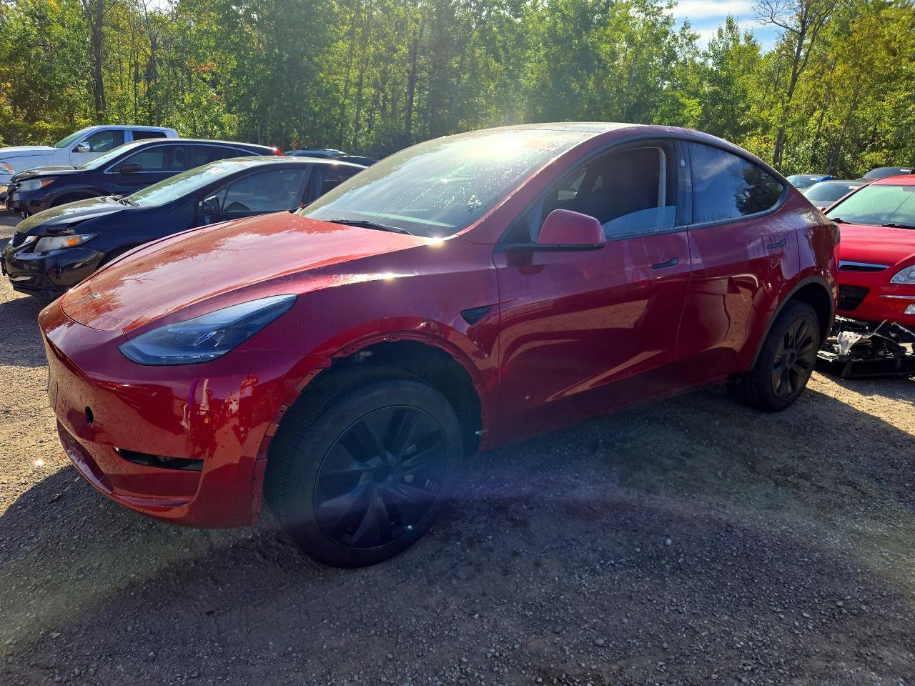 2025 TESLA MODEL Y