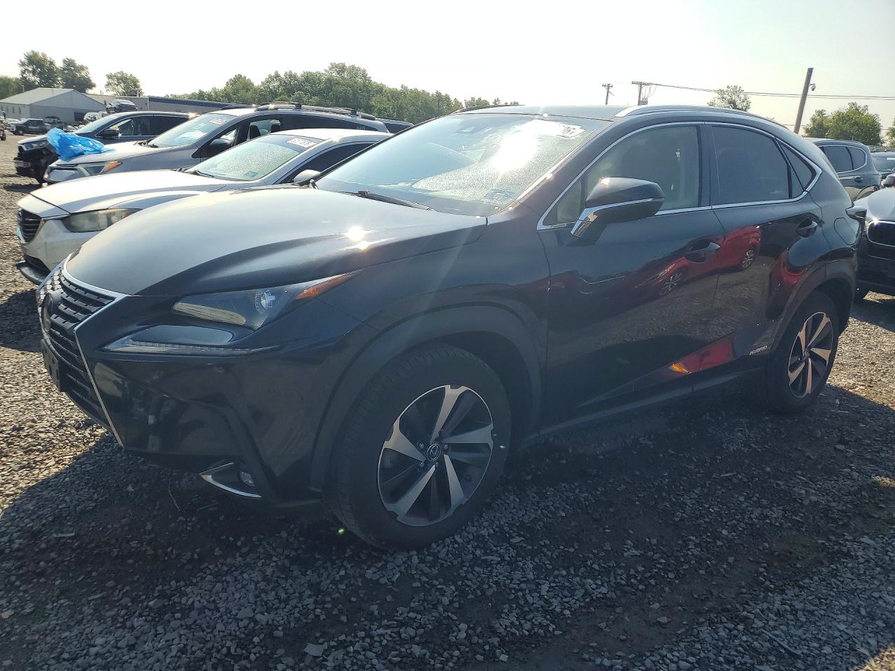 2020 LEXUS NX 300H