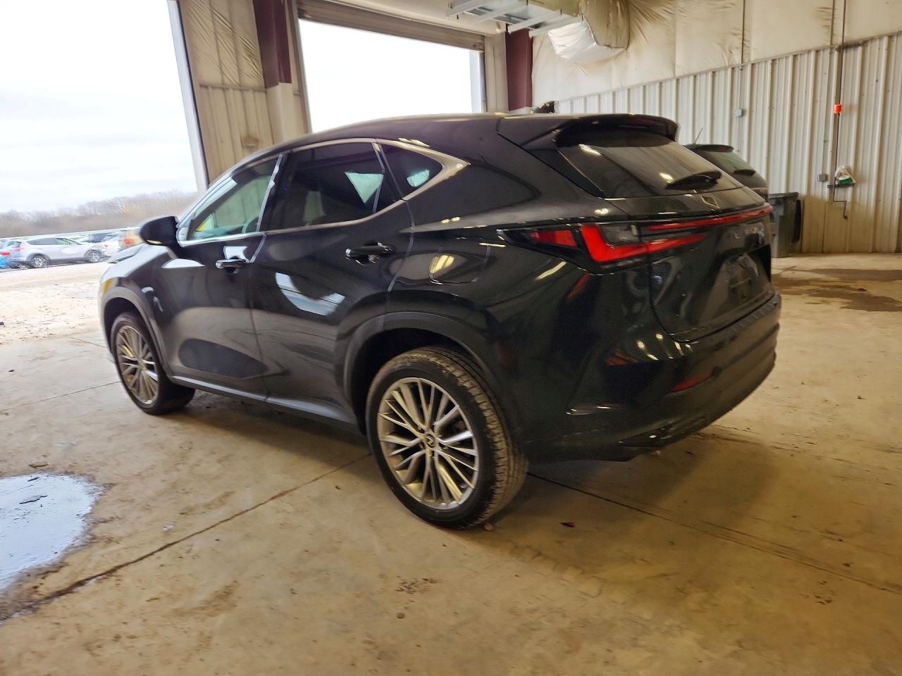 2024 LEXUS NX 350H LUXURY — снимка 2