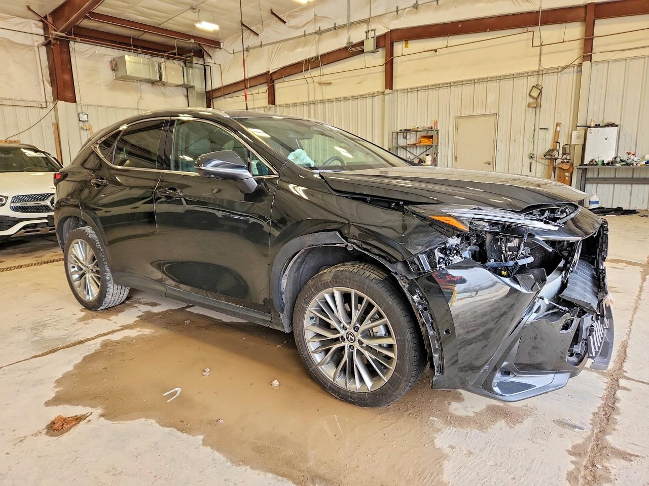 2024 LEXUS NX 350H LUXURY — снимка 4