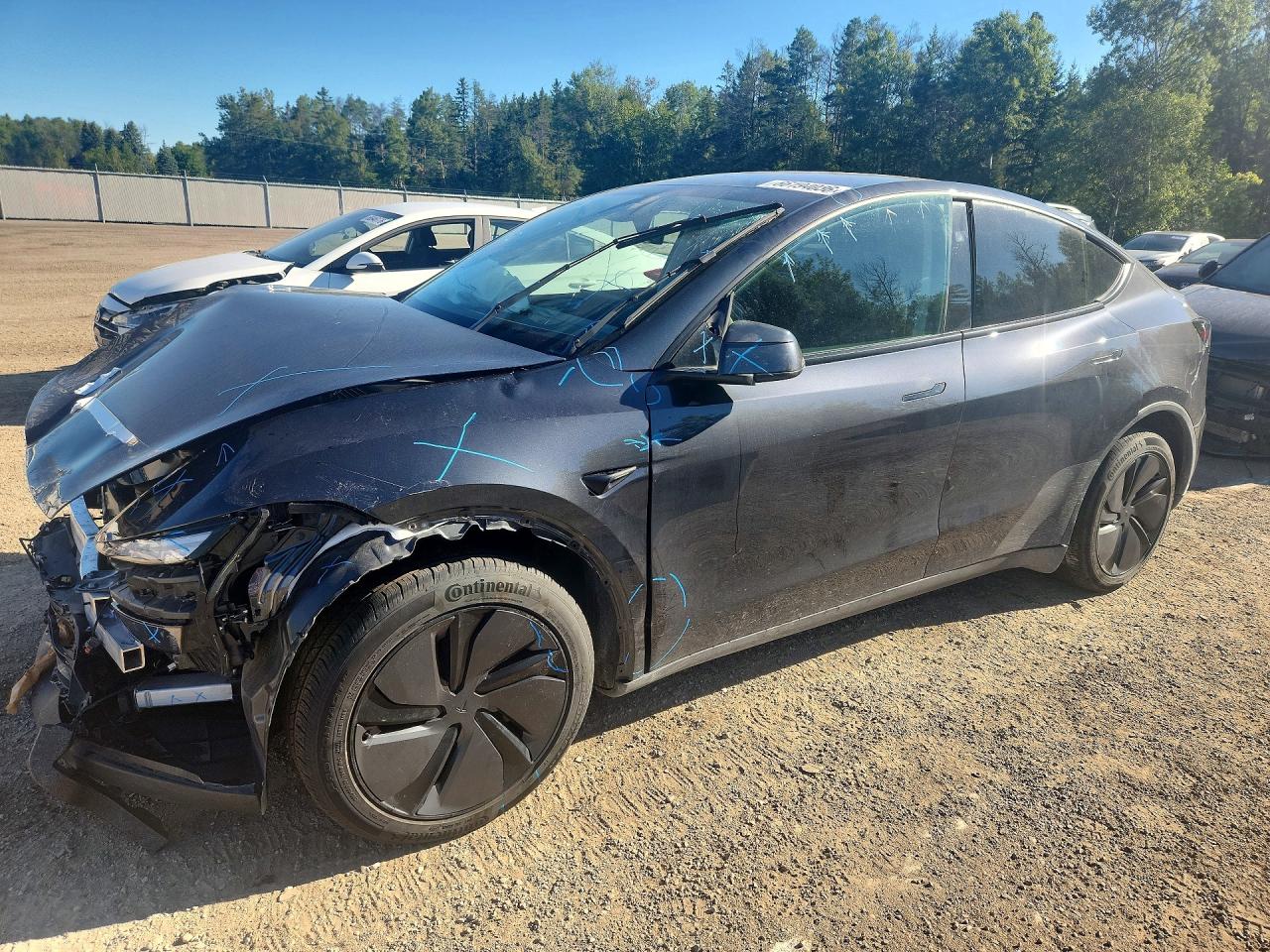 2026 TESLA MODEL Y
