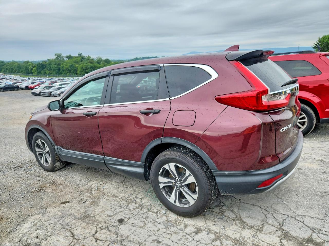 2019 HONDA CR-V LX — снимка 2