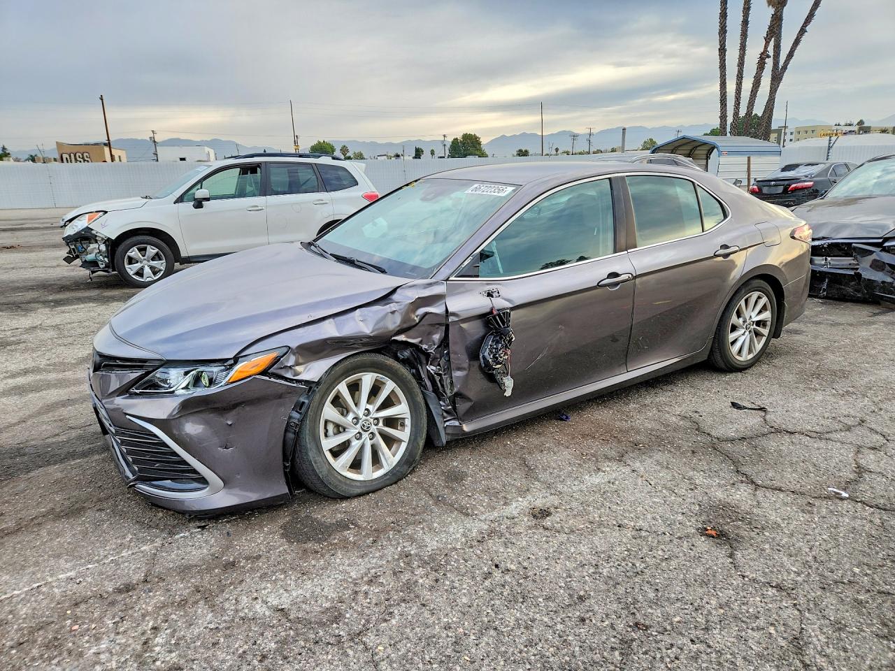 2023 TOYOTA CAMRY LE