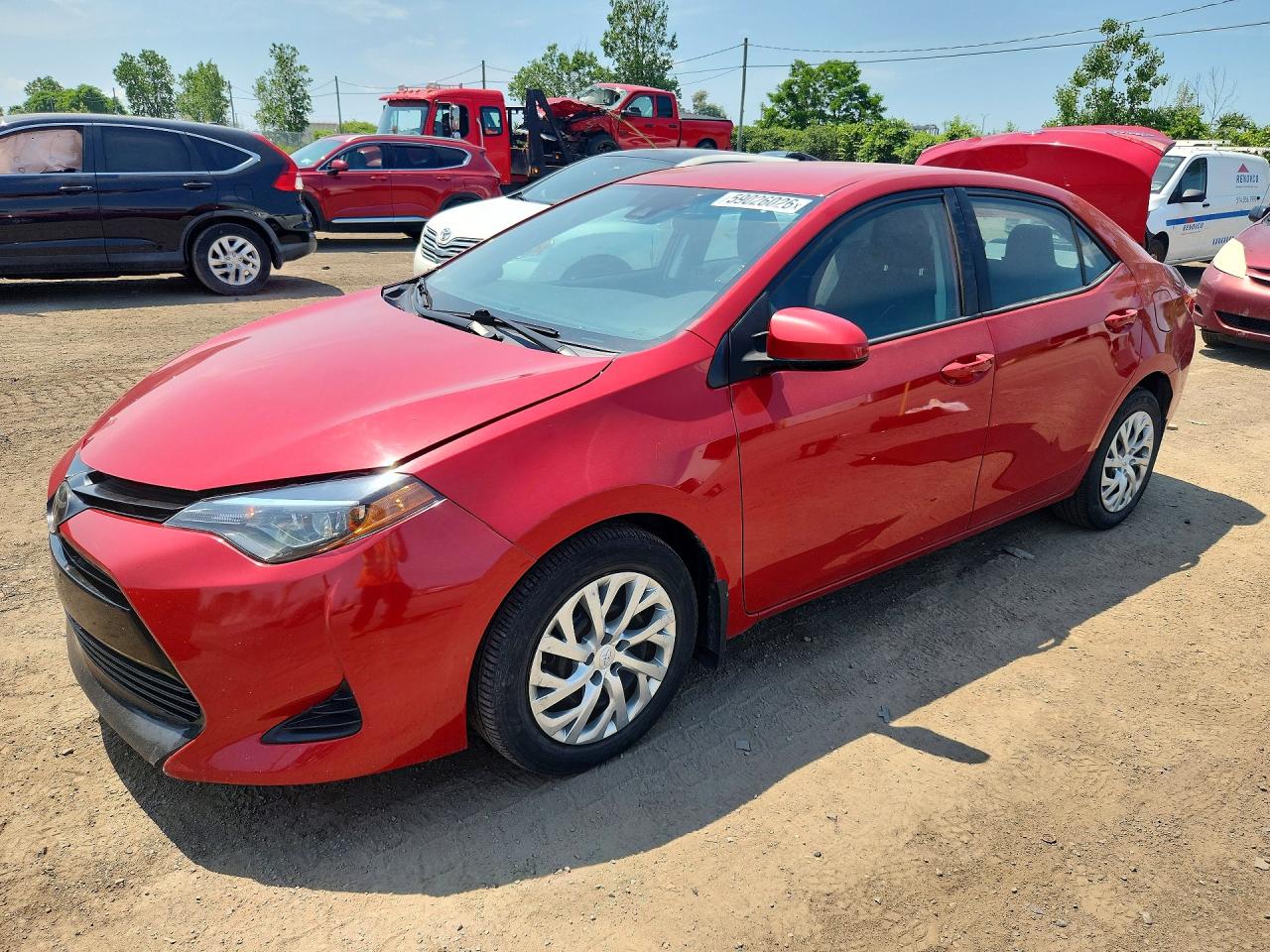 2019 TOYOTA COROLLA L