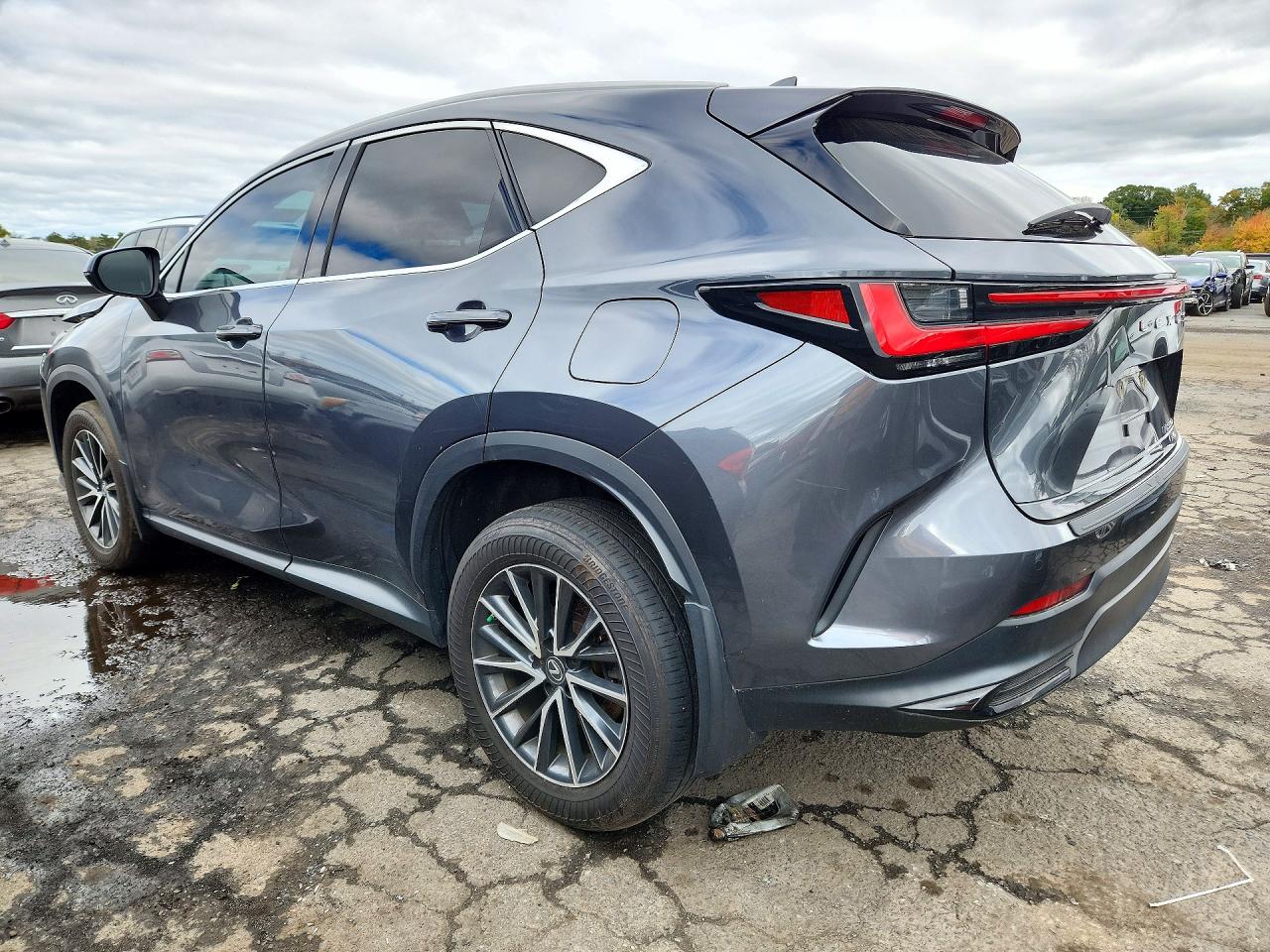 2023 LEXUS NX 350H — photo 2