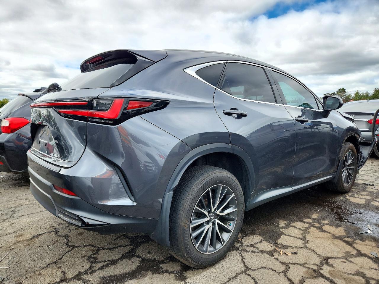 2023 LEXUS NX 350H — photo 3