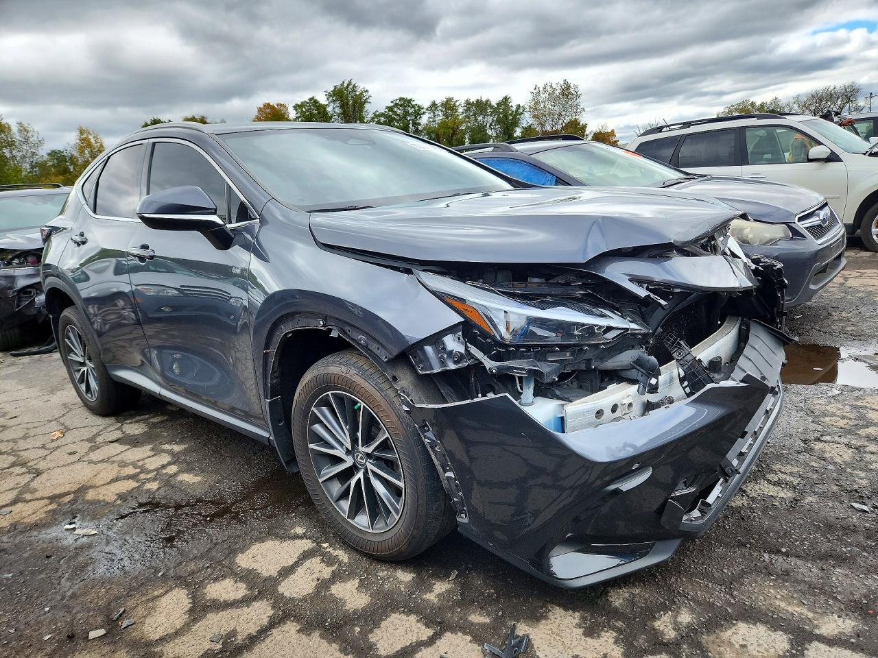 2023 LEXUS NX 350H — photo 4