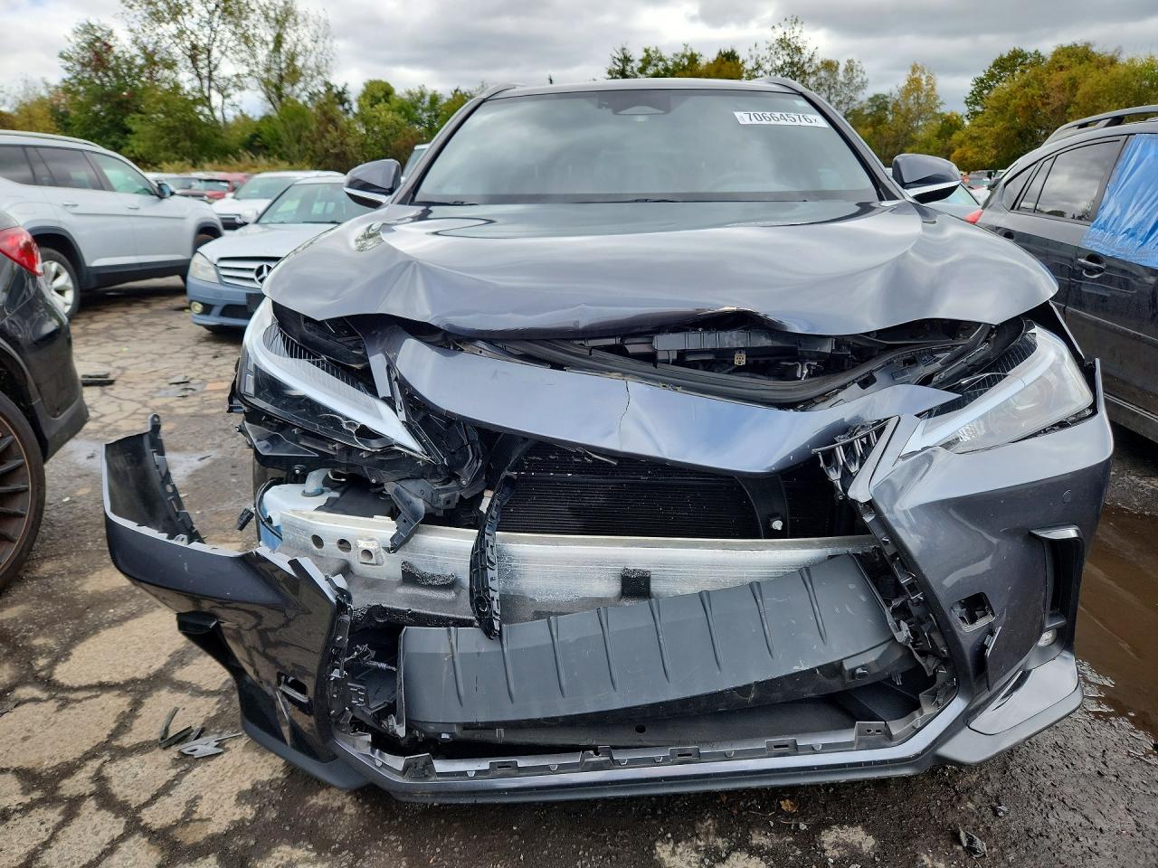 2023 LEXUS NX 350H — photo 5