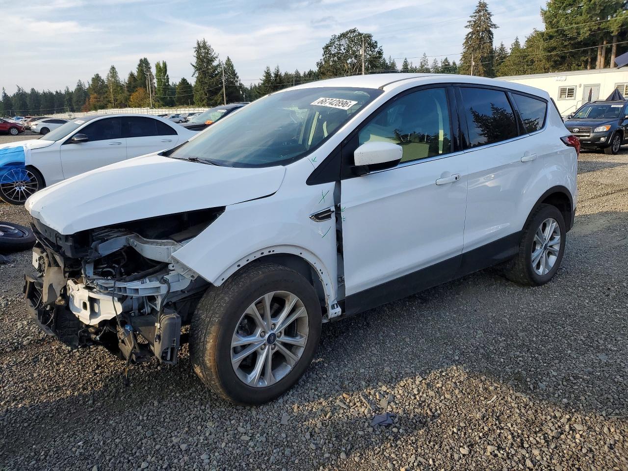 2019 FORD ESCAPE SE