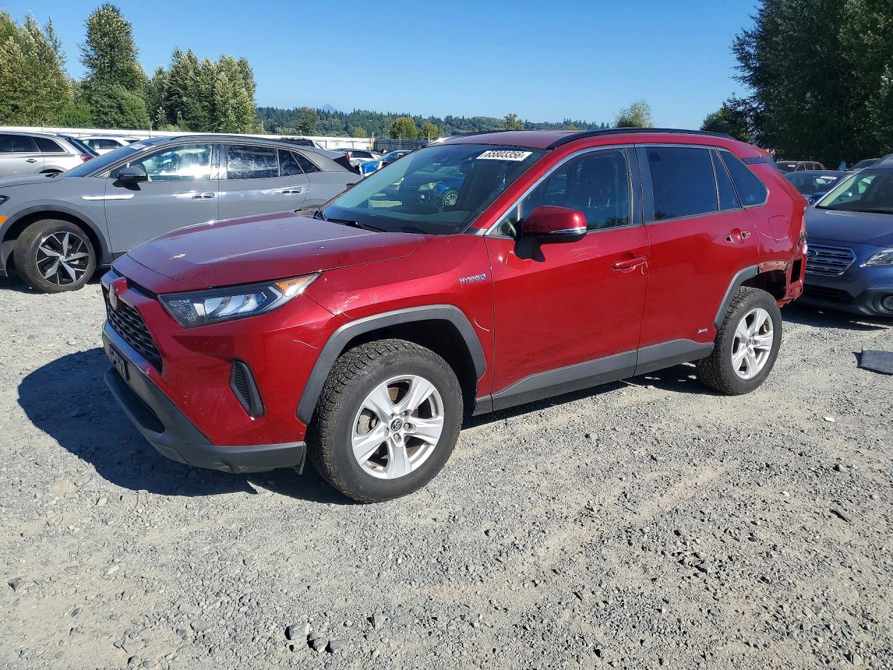 2019 TOYOTA RAV4 LE