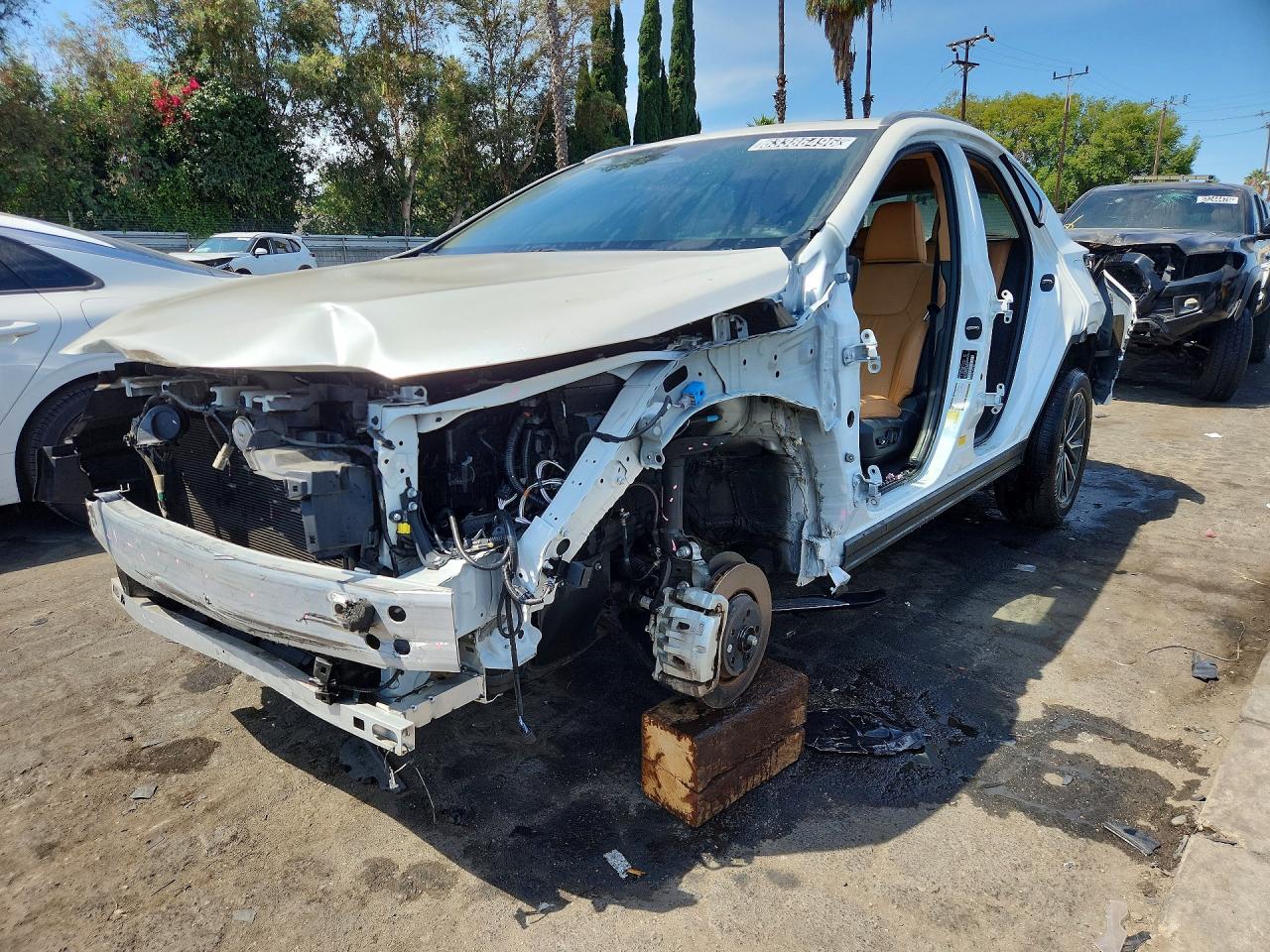 2025 LEXUS NX 250 BASE