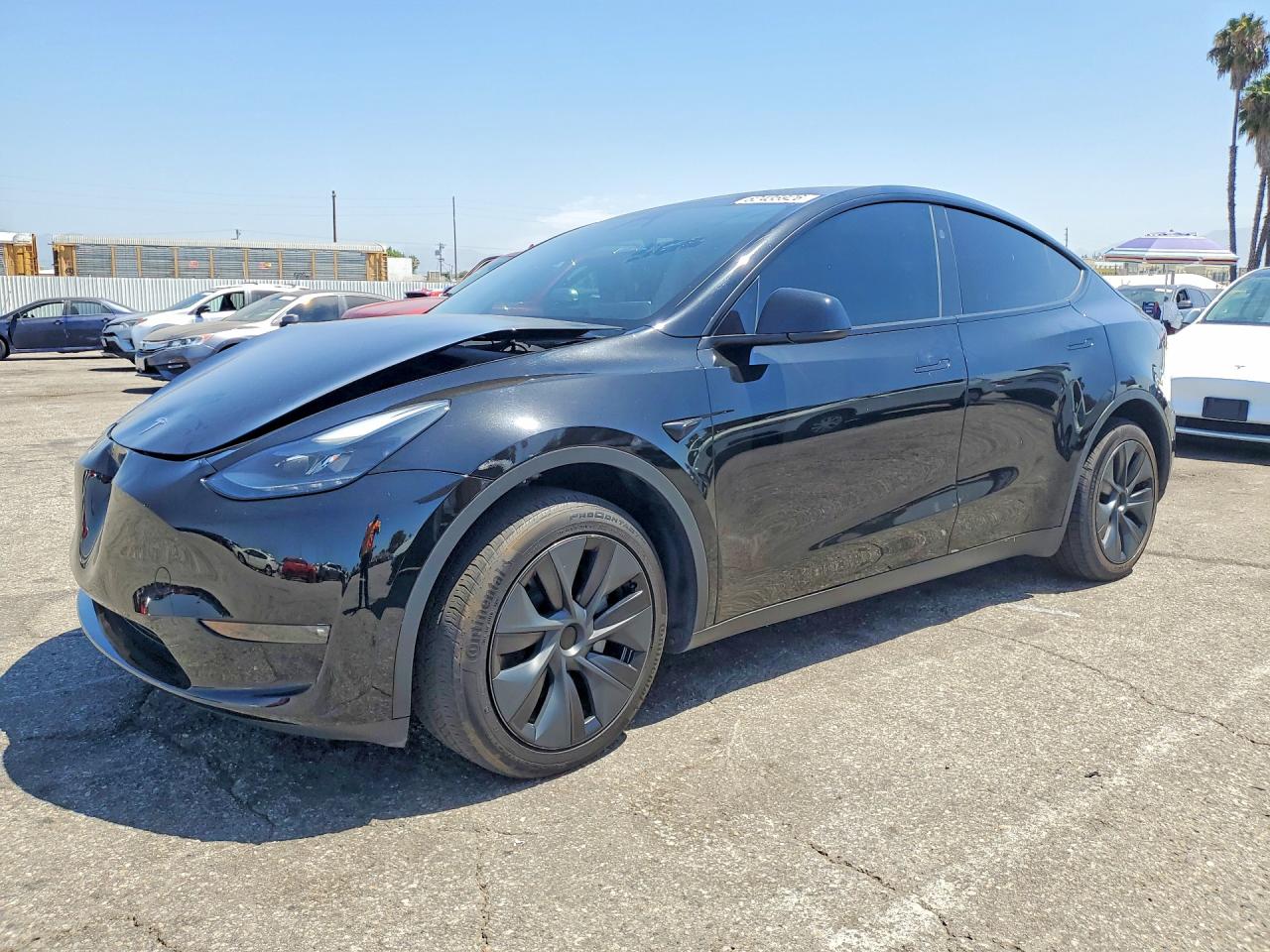 2024 TESLA MODEL Y