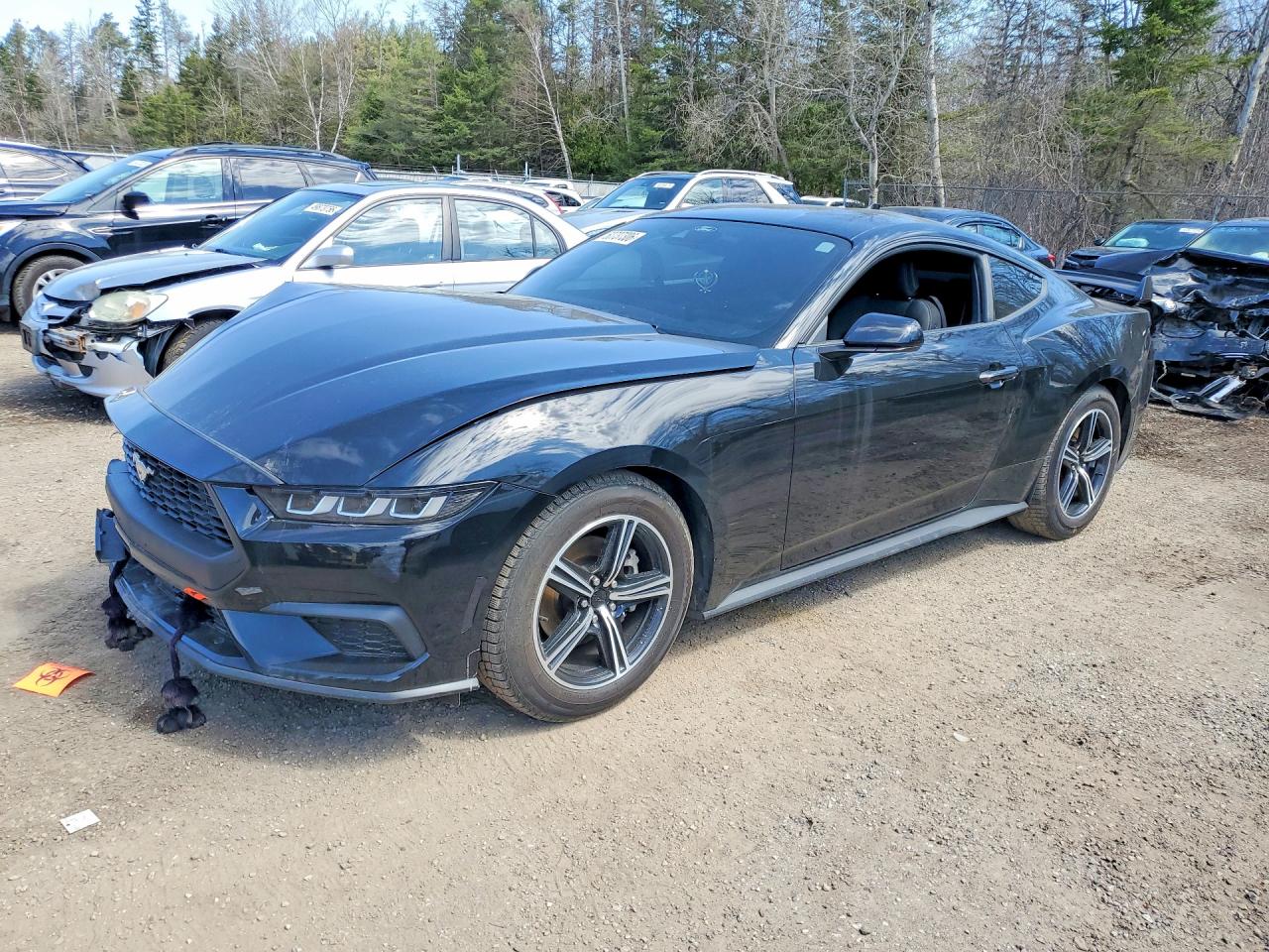 2024 FORD MUSTANG