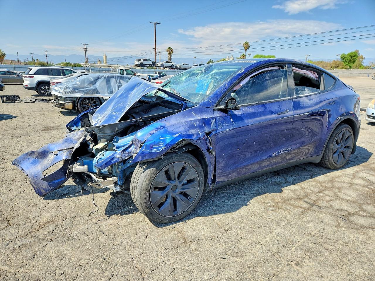 2025 TESLA MODEL Y