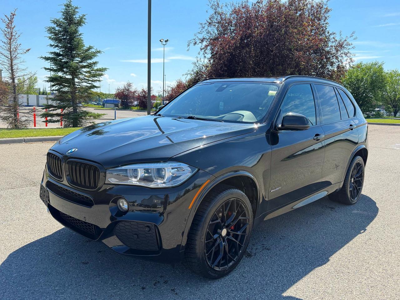 2015 BMW X5 XDRIVE50I — снимка 2
