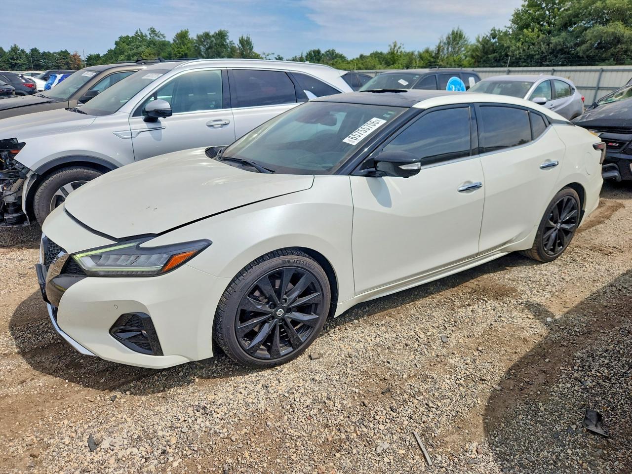 2019 NISSAN MAXIMA PLATINUM