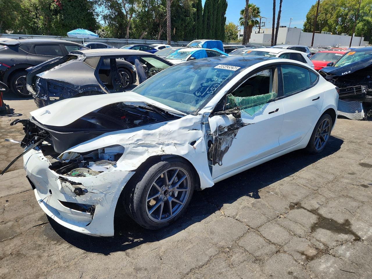 2023 TESLA MODEL 3