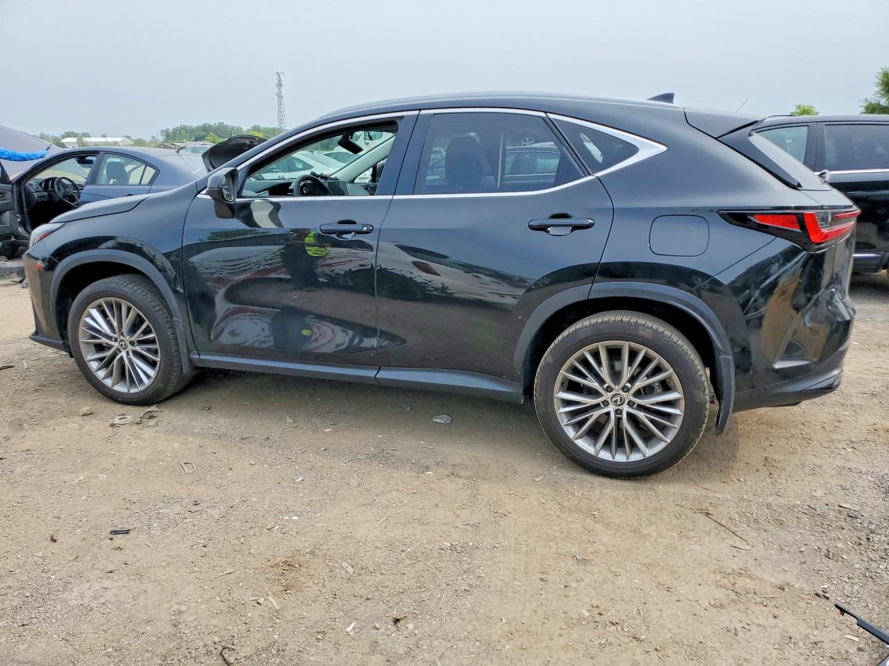 2024 LEXUS NX 350H BASE — снимка 2