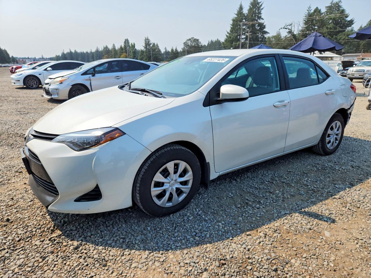 2019 TOYOTA COROLLA LE ECO