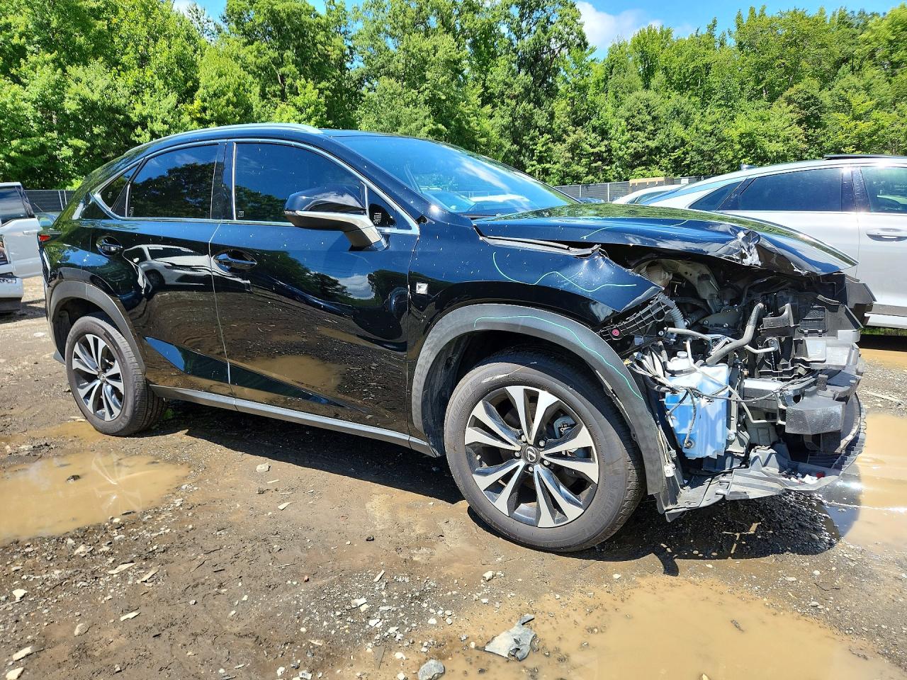 2020 LEXUS NX 300 F SPORT — снимка 4