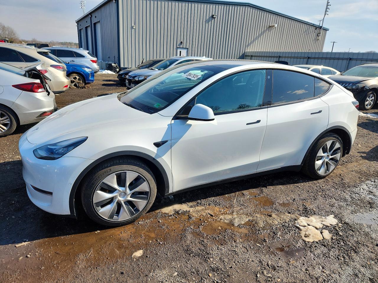 2021 TESLA MODEL Y