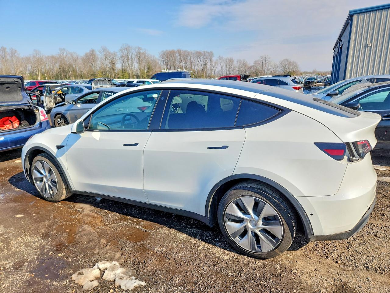2021 TESLA MODEL Y — снимка 2