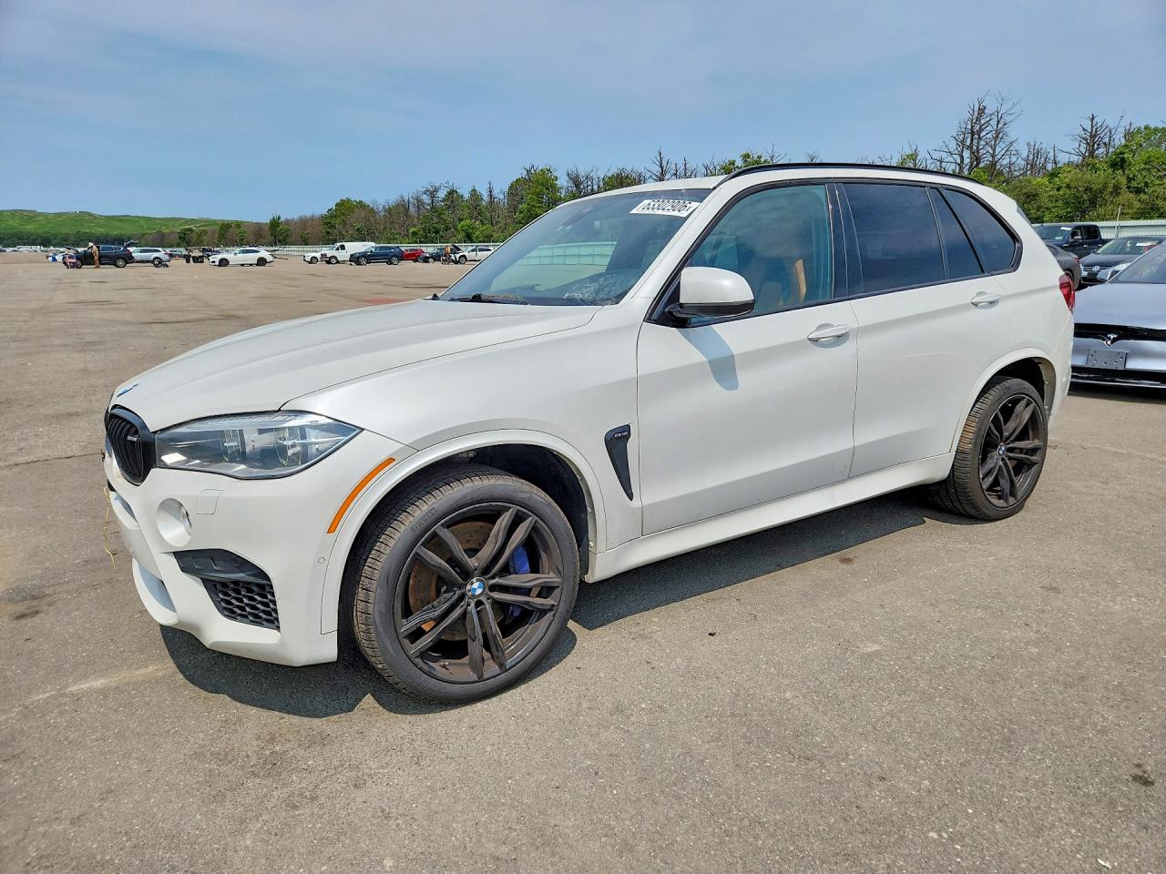 2015 BMW X5 M