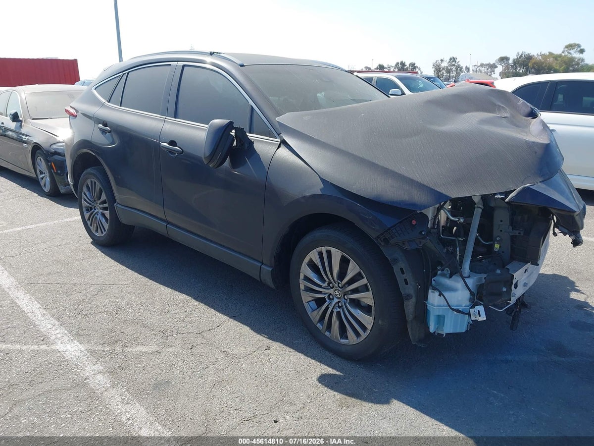 2024 TOYOTA VENZA XLE