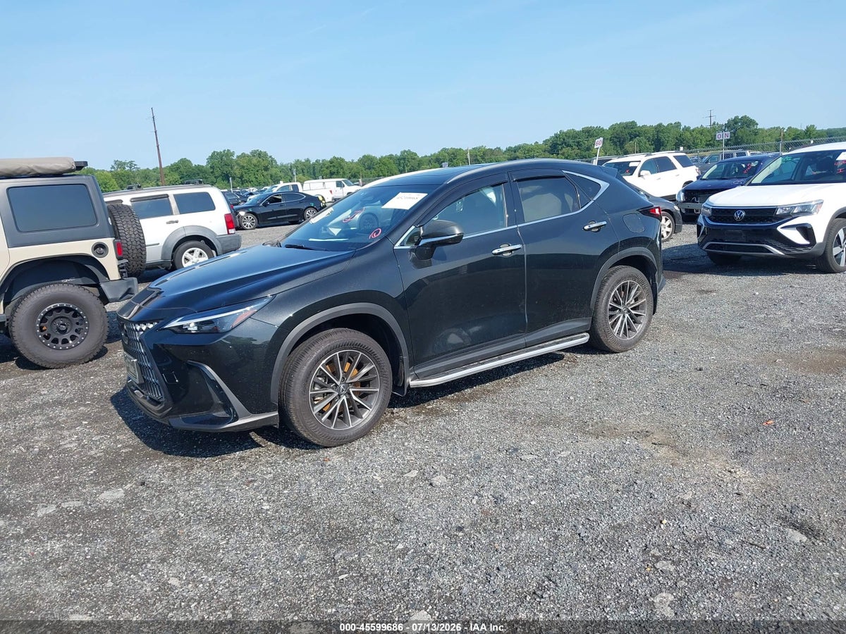 2024 LEXUS NX 350 PREMIUM — снимка 2