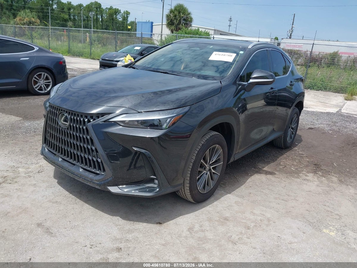 2025 LEXUS NX 250 PREMIUM — снимка 2