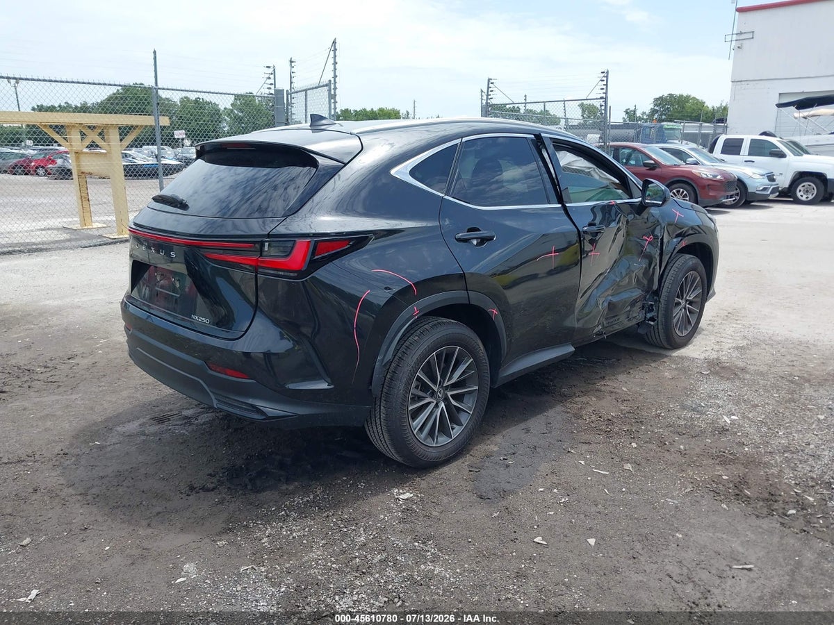 2025 LEXUS NX 250 PREMIUM — снимка 4