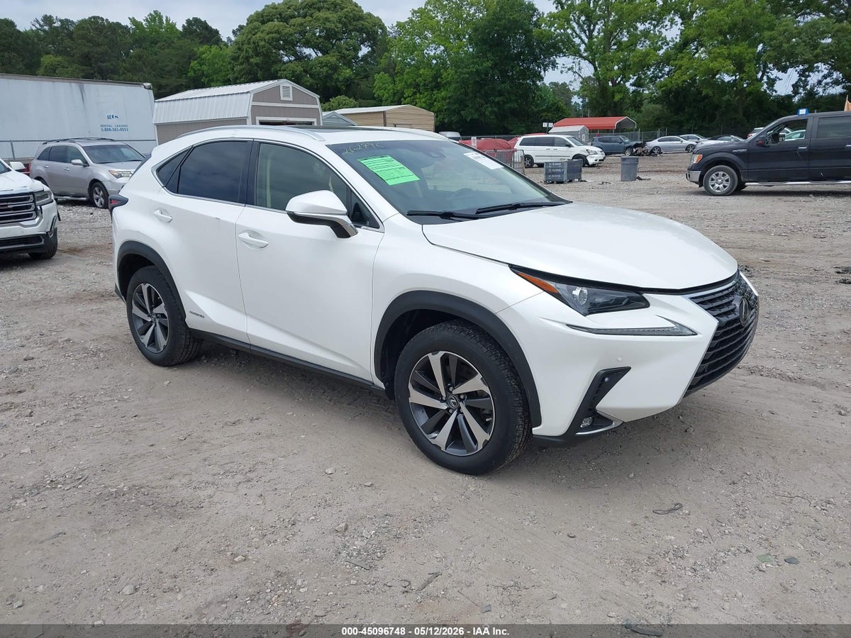 2019 LEXUS NX 300H