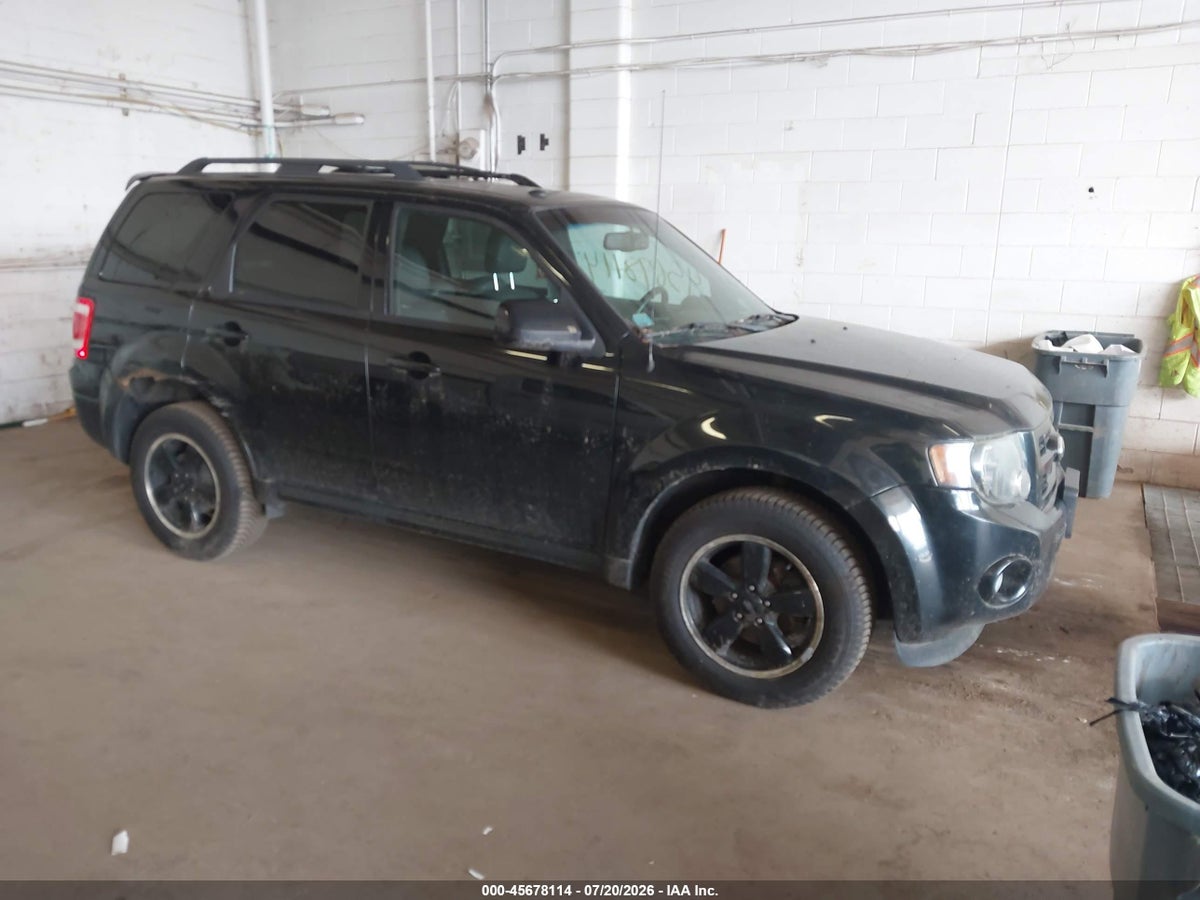 2011 FORD ESCAPE XLT