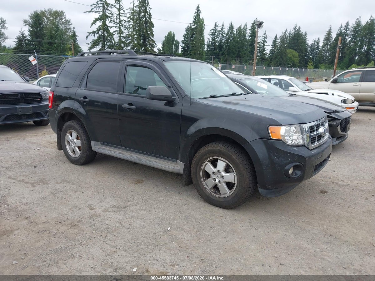 2011 FORD ESCAPE XLT