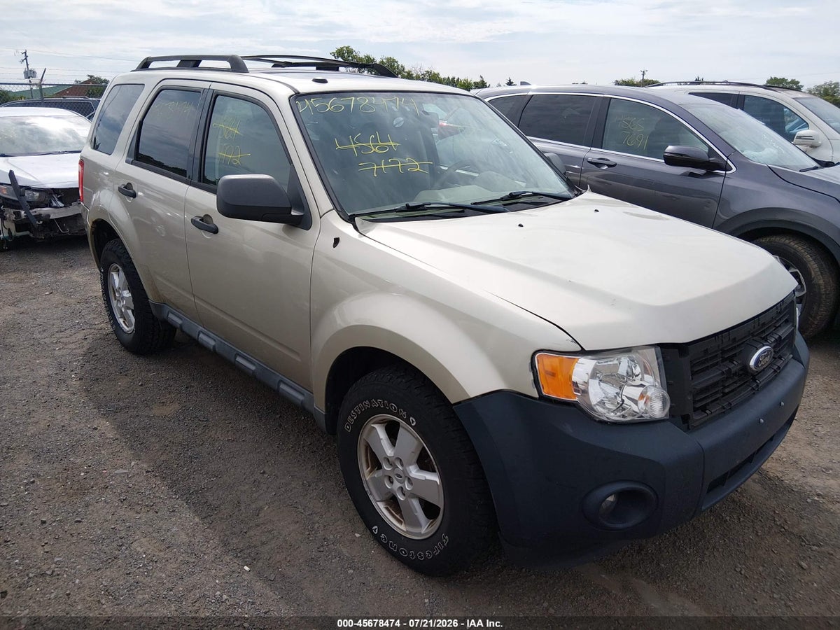 2010 FORD ESCAPE XLT